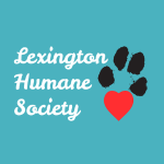 2026 Critter Camp - logo